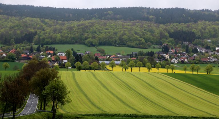 Hügelkette und Rapsfelder im Weserbergland