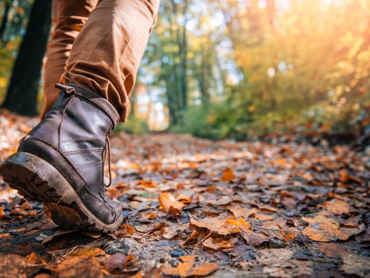 Eine Person geht auf einem mit Herbstblättern bedeckten Waldweg und trägt braune Stiefel
